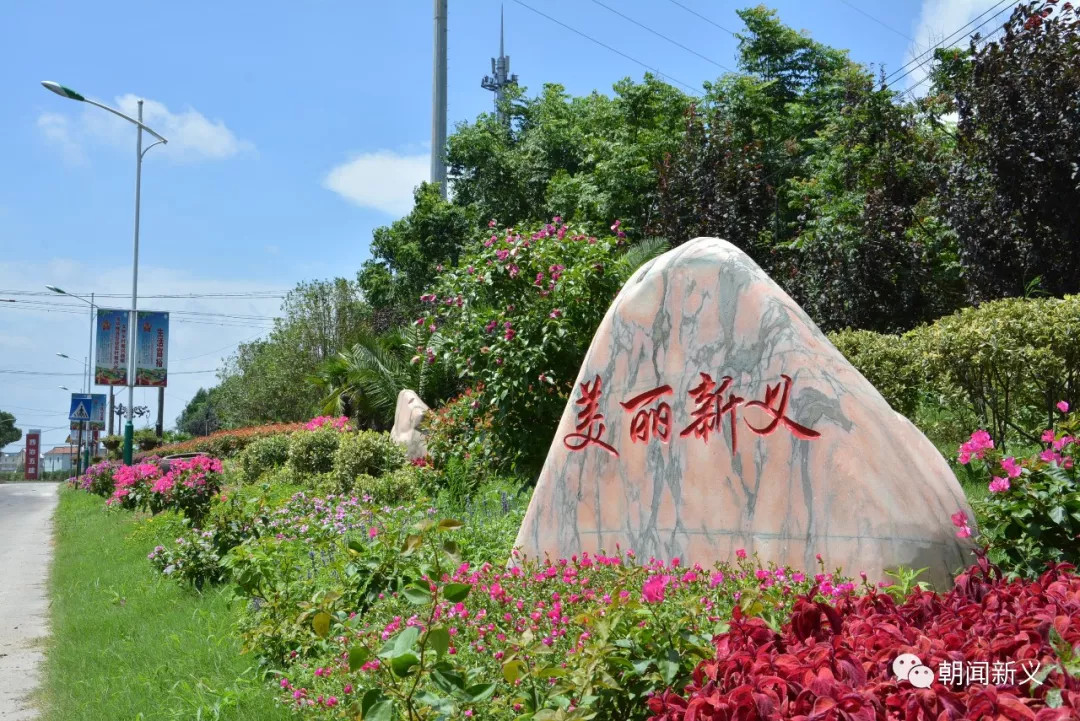 1558072392748623.jpg 蜂蜜浏览器_1.jpg